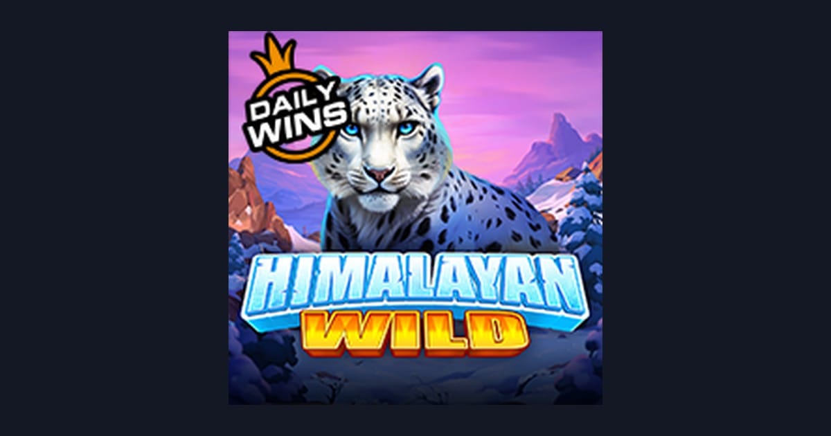 Himalayan Wild: Update RTP Live Slot & Slot Hari Ini Terbaik